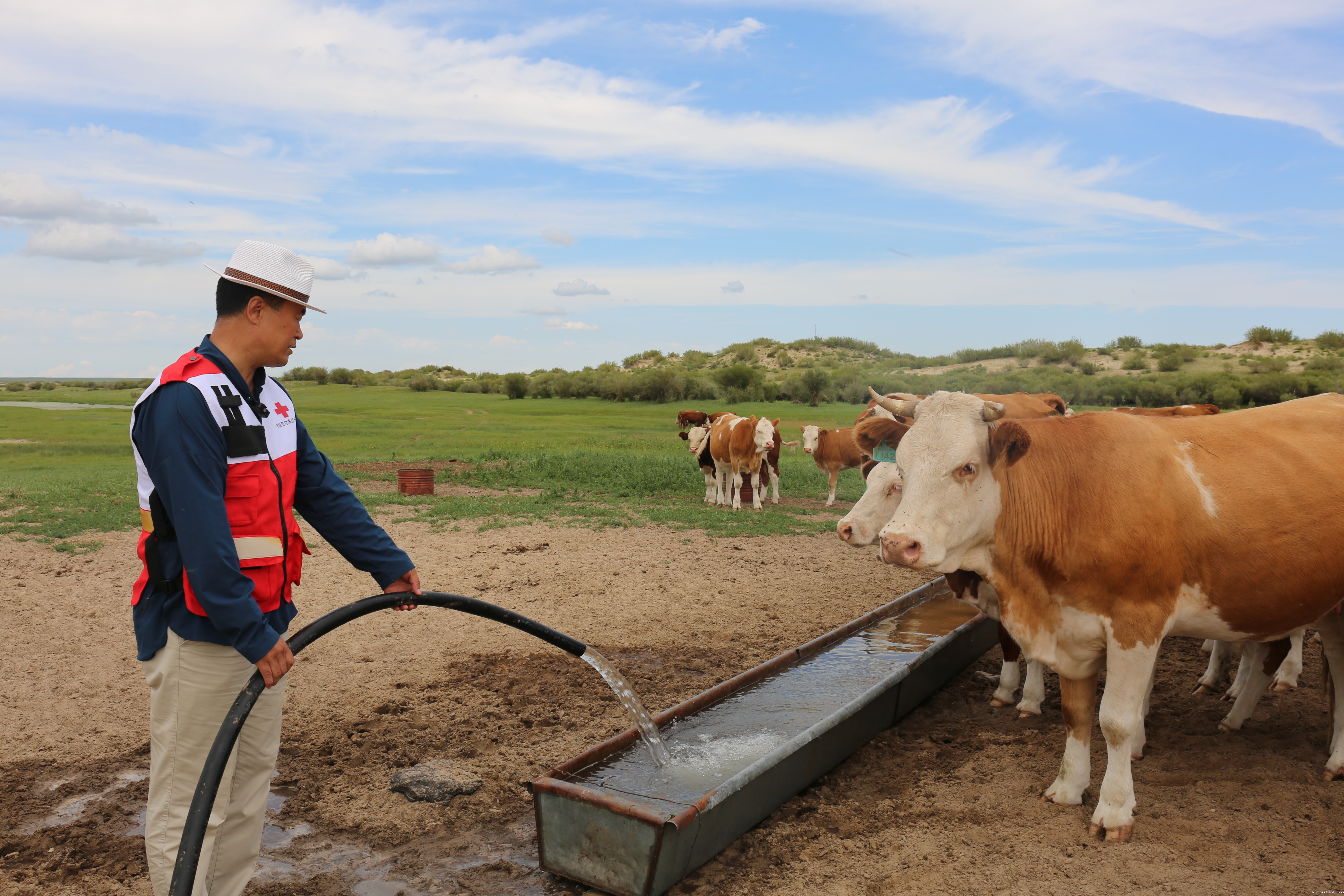 呼伦贝尔市新巴尔虎左旗红十字会实施红十字博爱家园项目,为当地部分牧户安装30套大功率光伏发电设备,在保障牧民基本生产生活用电的同时每年可为每户牧民减轻1万元的支出。牧户再也不用靠手压井、拉水等传统方式,使用大功率水泵抽水即可解决牛羊饮水问题。.jpg 呼伦贝尔市新巴尔虎左旗红十字会实施红十字博爱家园项目,为当地部分牧户安装30套大功率光伏发电设备,在保障牧民基本生产生活用电的同时每年可为每户牧民减轻1万元的支出。牧户再也不用靠手压井、拉水等传统方式,使用大功率水泵抽水即可解决牛羊饮水问题。.jpg