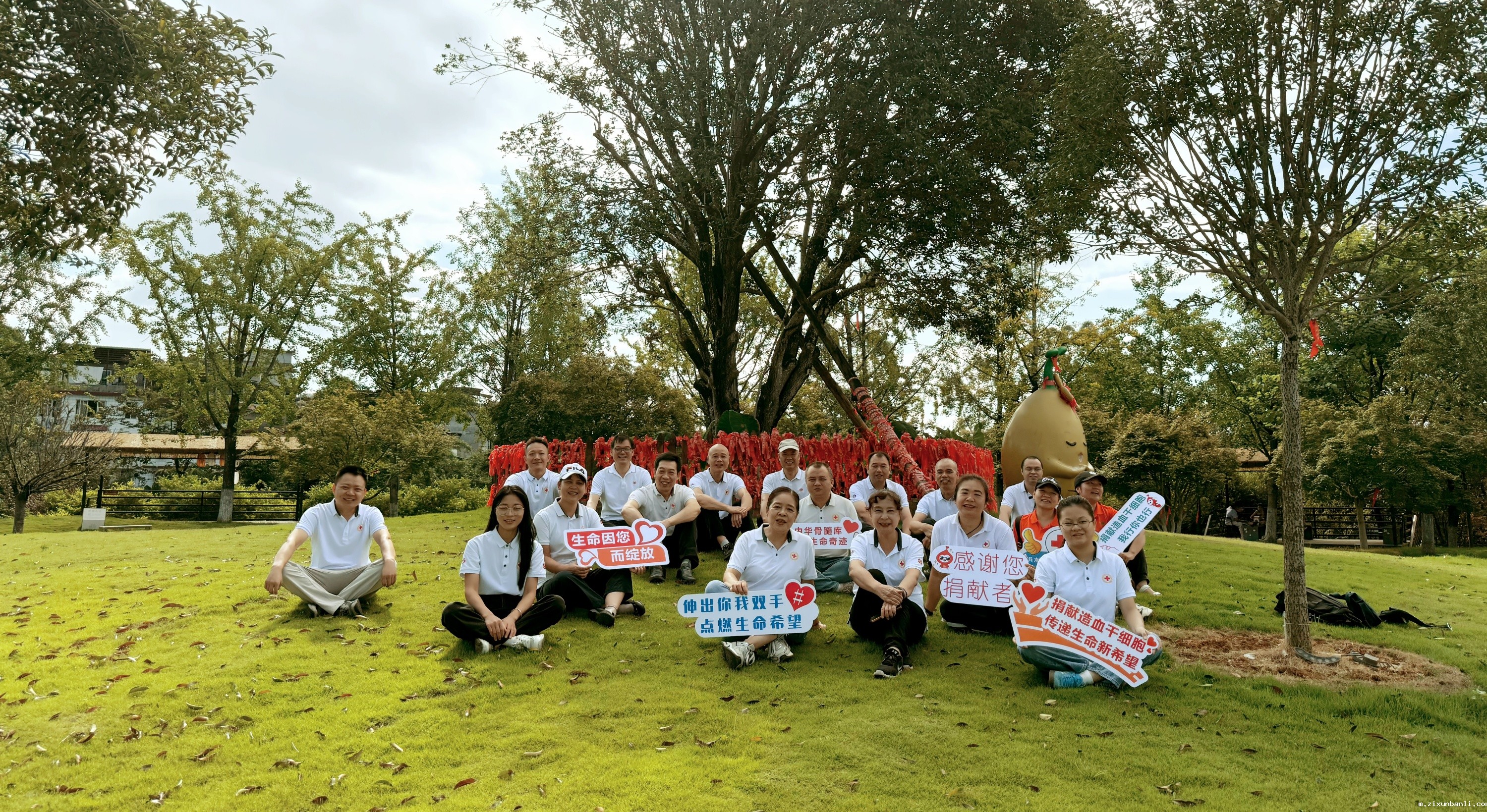 4b (1).jpg 4b (1).jpg