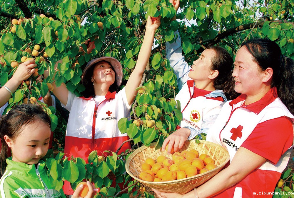 6b安徽1-1000.jpg 6b安徽1-1000.jpg